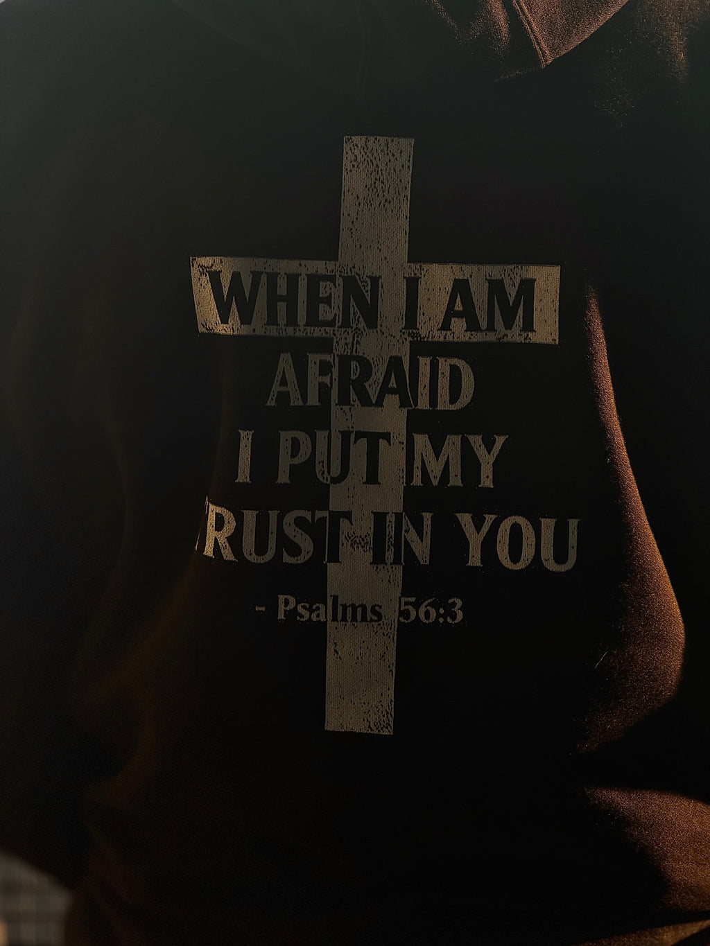PSALM 56:3 HOODIE